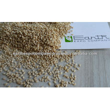 Dehydrated White Sesame seeds